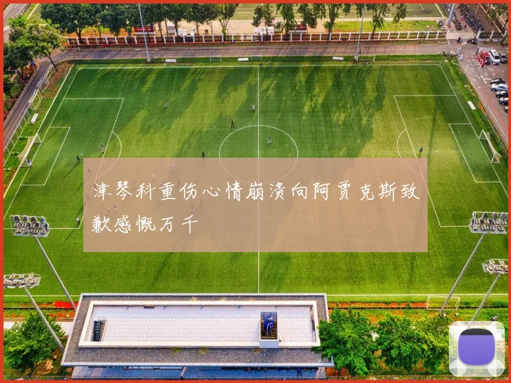 津琴科重伤心情崩溃向阿贾克斯致歉感慨万千