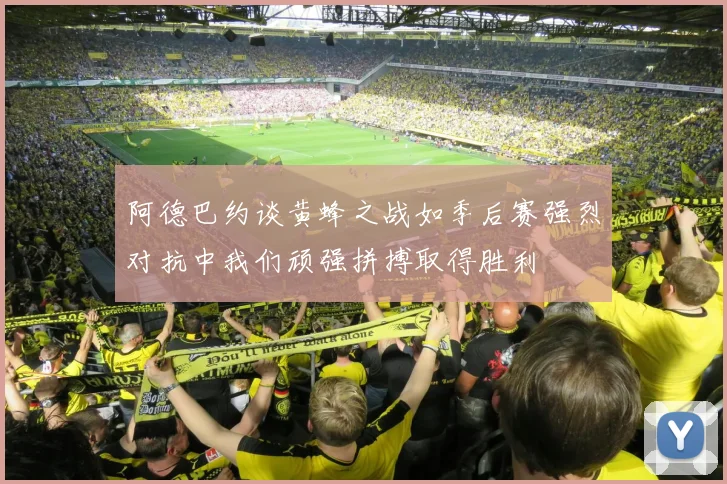 阿德巴约谈黄蜂之战如季后赛强烈对抗中我们顽强拼搏取得胜利