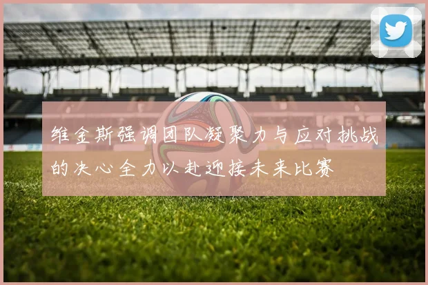 维金斯强调团队凝聚力与应对挑战的决心全力以赴迎接未来比赛